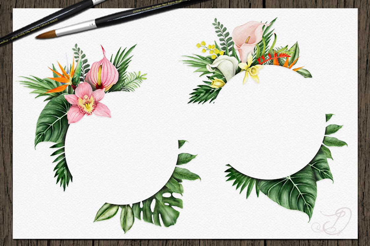 Tropical Big Pack Watercolor Clip, a Decorative Illustration by DioFlow (Photo 4 of 26)