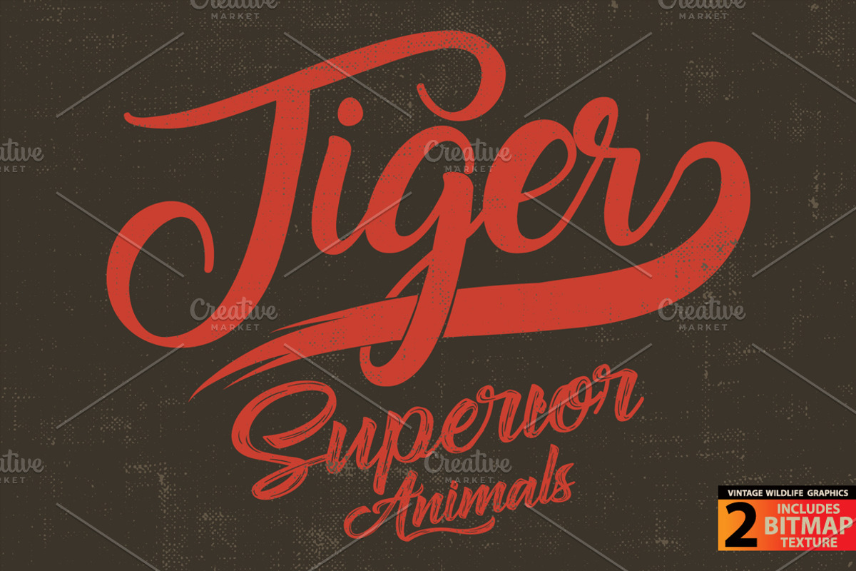 Tiger - Vector illustration, an Animal Illustration by Artistic & Unique (Photo 4 of 10)