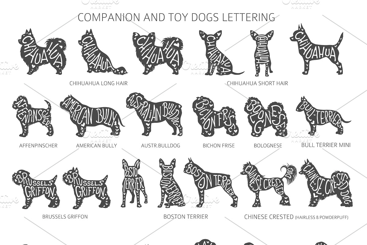 Companion and Toy Dogs Silhouettes, an Animal Illustration by pet design shop (Photo 4 of 15)