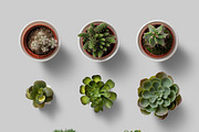 Nature Scene Generator, a Product Mockup by h3design (Thumbnail 16 of 19)