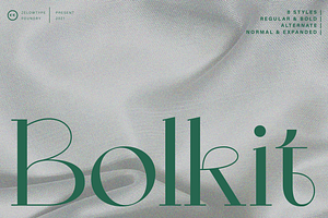 ZT Bolkit - Display Serif