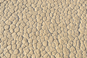 Crackled earth background containing texture, background, and desert, a Nature Photo by Lucky Photographer