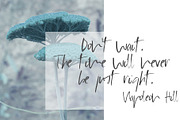 Moland Font, a Script Font by SophieSaxo (Thumbnail 5 of 8)