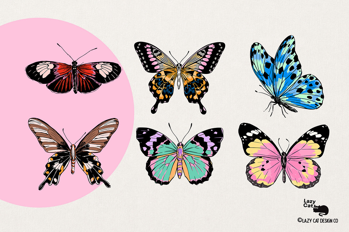 HAND-DRAWN BUTTERFLY COLLECTION, an Object Graphic by Lazy Cat (Photo 4 of 5)