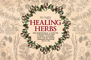 Healing Herbs | Botanical Bundle, a Healthcare Illustration by Ink Stories (Thumbnail 1 of 13)