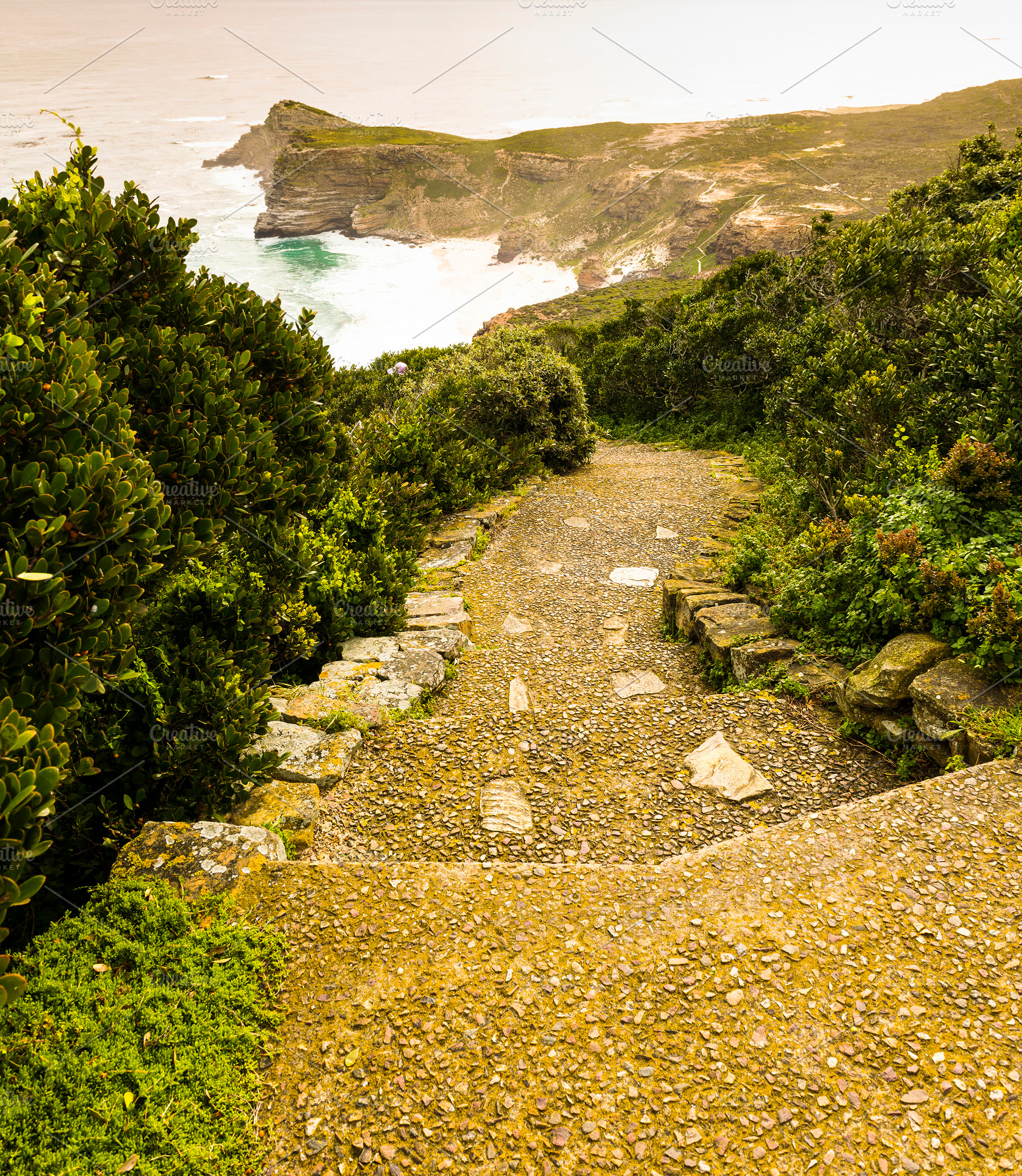 Cape Of Good Hope Pathway, a Nature Photo by THP Creative