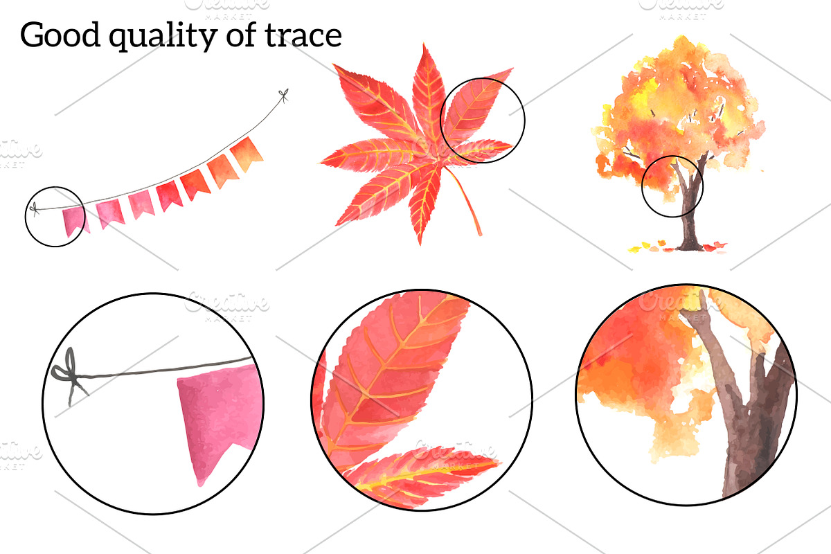 Big autumn set. Watercolor, an Object Illustration by Olga Bonitas (Photo 6 of 6)