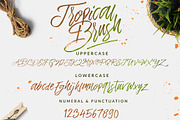 SALE !!! The Tropical - 5 Fonts, a Font by Dirtyline Studio (Thumbnail 17 of 19)
