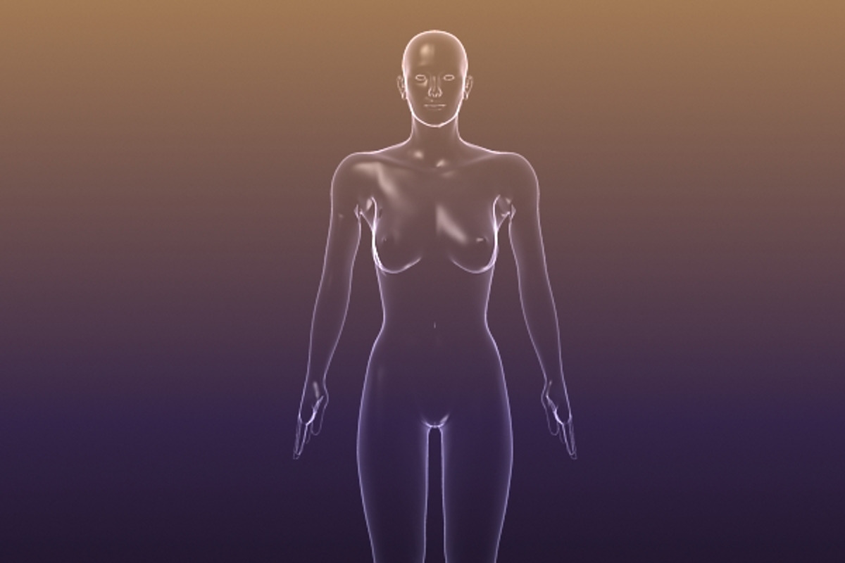 Male And Female Anatomy X-ray Bodies, a Characters & Person 3D Model by VisualCG (Photo 8 of 15)