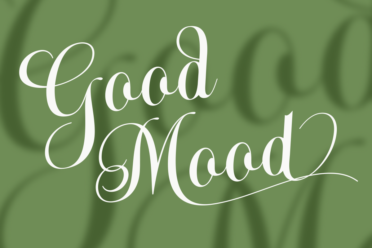 Claricia Family, a Handwritten Font by Eurotypo (Photo 5 of 8)
