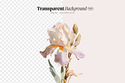 Flowers - watercolor illustrations, a Decorative Illustration by AI Crafted Magnolia (Thumbnail 2 of 13)