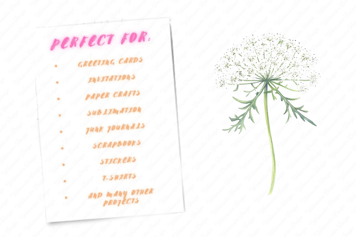 Wild Floral Clipart, Wild Floral png, an Illustration by Watercolor design (Photo 11 of 12)