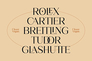 Classy Vogue - Stylish Serif, a Serif Font by Variatype (Thumbnail 14 of 16)