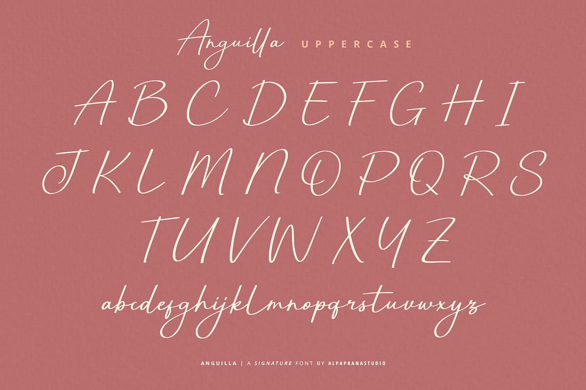 Anguilla - Signature Font, a Script Font by Alpaprana (Photo 11 of 13)