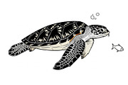 50 Sea Turtle Vector Silhouette Bund, an Illustration by jahid234 (Thumbnail 40 of 51)