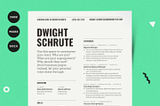 Resume Template Word Pages InDesign, a Resume Template by More Profesh (Thumbnail 1 of 8)