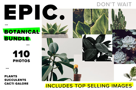 Botanical Photo Bundle Collection, a Nature Photo by Scott Webb