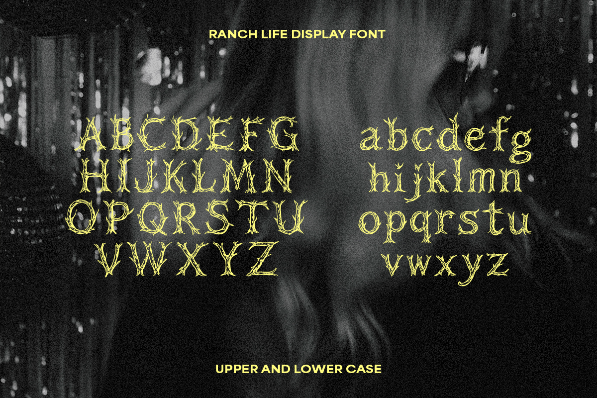 Ranch Life Western Display Font, a Handwritten Font by Sarah Baker (Photo 5 of 8)