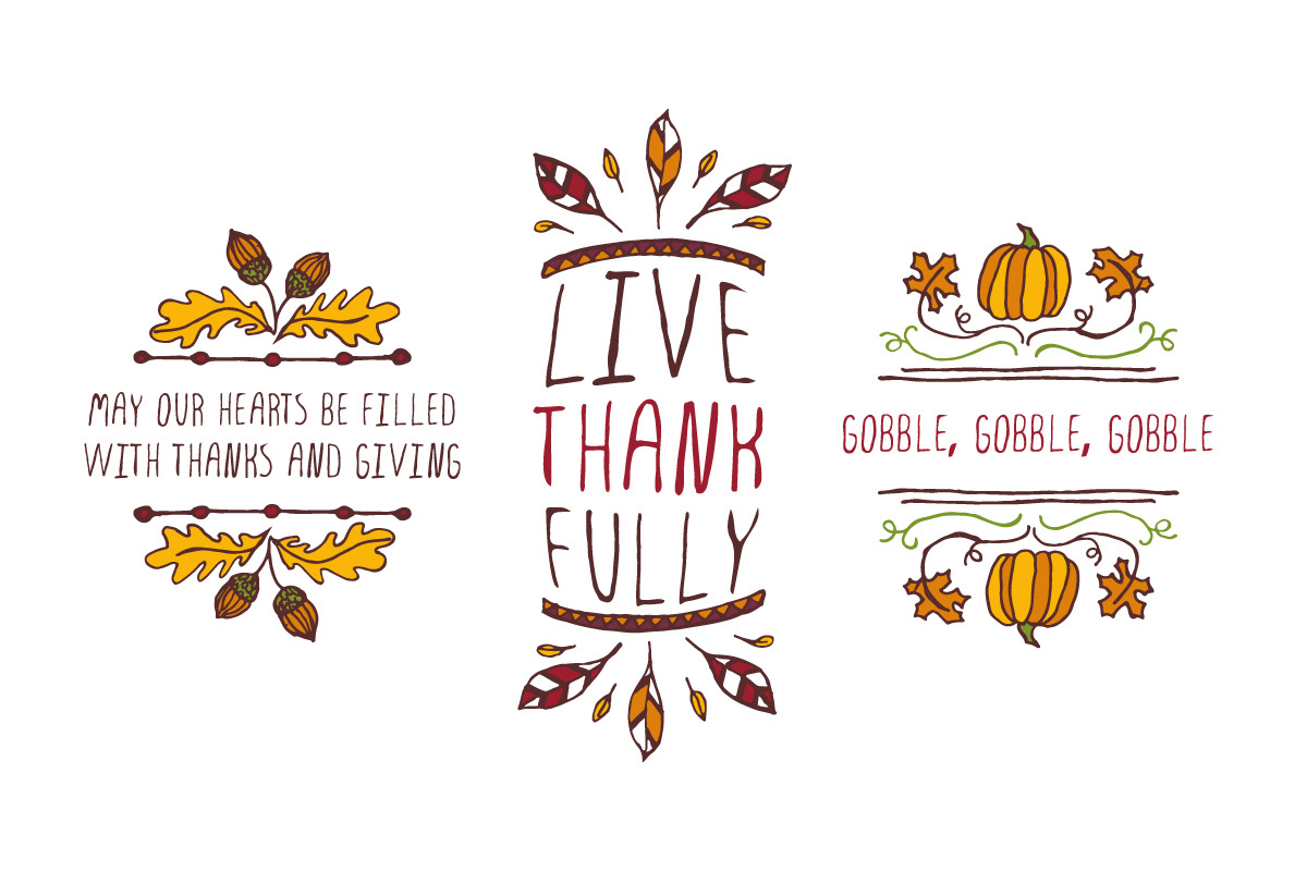 Hand-sketched Thanksgiving elements, an Illustration by AV Design (Photo 2 of 4)