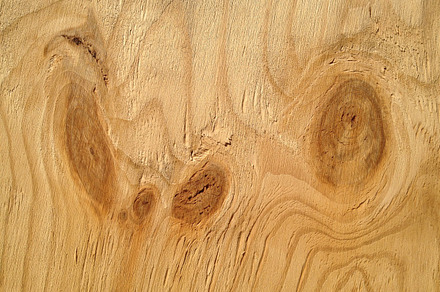 Wet Woodpile preview 6