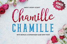 Chamille | sweet script