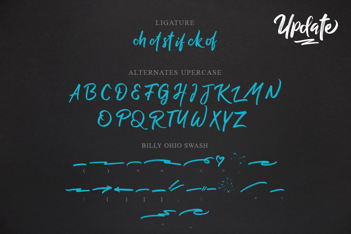 Billy Ohio Typeface, a Script Font by alit design (Photo 15 of 15)