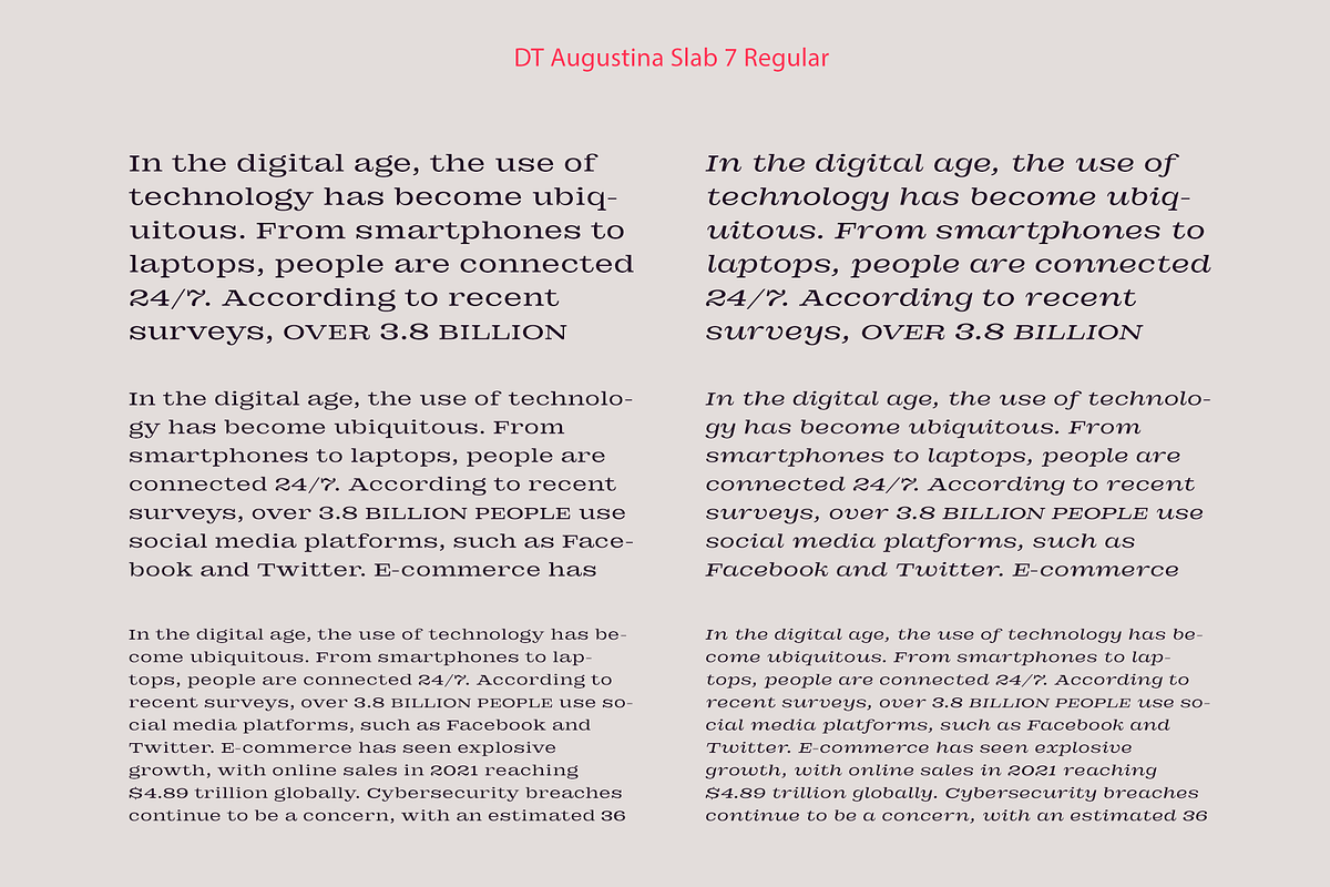 DT Augustina Slab 7 Subfamily, a Slab Serif Font by Deveze Type Foundry (Photo 8 of 31)