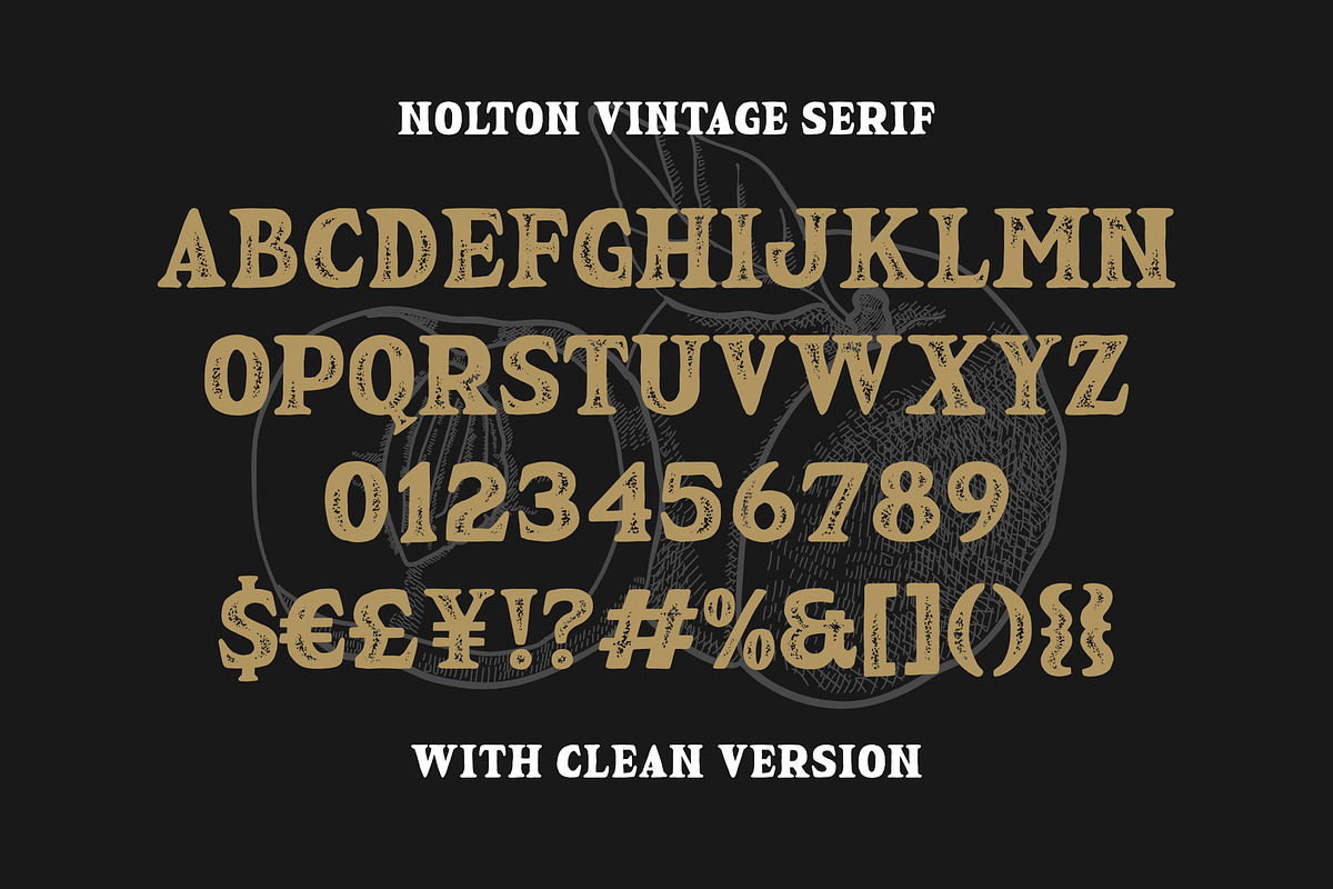 Nolton Vintage - Font Family, a Handwritten Font by Grezline Studio (Photo 11 of 12)