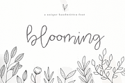 Blooming - Handwritten Font, a Handwritten Font by KA Designs (Thumbnail 1 of 6)