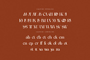 Sinderela Luxury Serif, a Serif Font by Cruzine (Thumbnail 8 of 9)