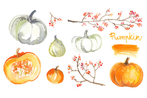 Pumpkins. Watercolor Painting