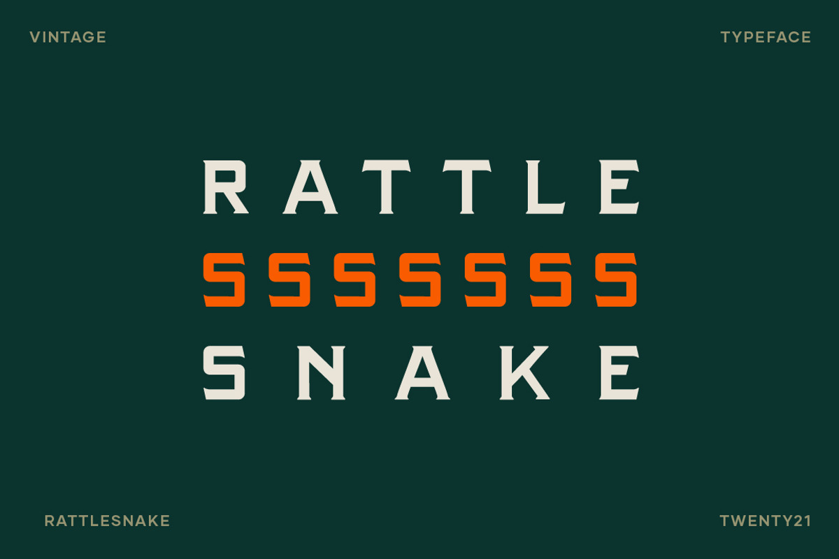 Rattlesnake - Vintage Serif Font, a Serif Font by Creative Type (Photo 3 of 13)