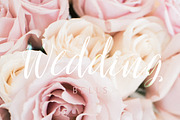 Oh Surrender Script Font, a Script Font by Creativeqube Design (Thumbnail 7 of 7)