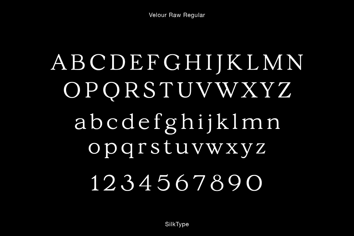 Velour Raw - 6 font famliy, a Serif Font by Silktype (Photo 5 of 11)