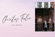 Sarfianto, a Script Font by pineungtype (Thumbnail 3 of 10)