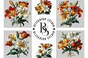Watercolor Lily Flower Clipart, an Illustration by Black Bird Studio (Thumbnail 5 of 5)