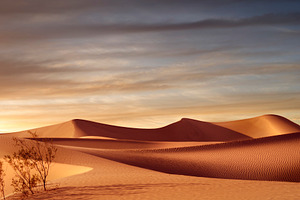 sunset dunes