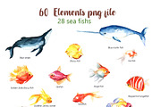 Sea World Watercolor Clipart, an Animal Illustration by Pixavics (Thumbnail 2 of 5)
