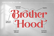 Magista Modern Stylish Elegant Font, a Serif Font by Ronny Studio (Thumbnail 9 of 17)