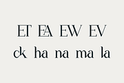 The New Seasone, a Serif Font by RockboyStd (Thumbnail 10 of 12)