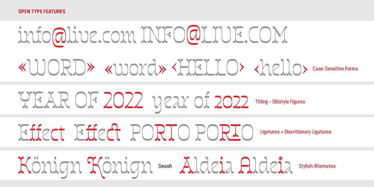 Invertida, a Slab Serif Font by Vanarchiv (Photo 6 of 8)