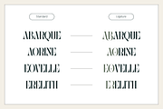 Abogia - Modern Serif Logo Font, a Serif Font by Nirmana Visual (Thumbnail 9 of 16)