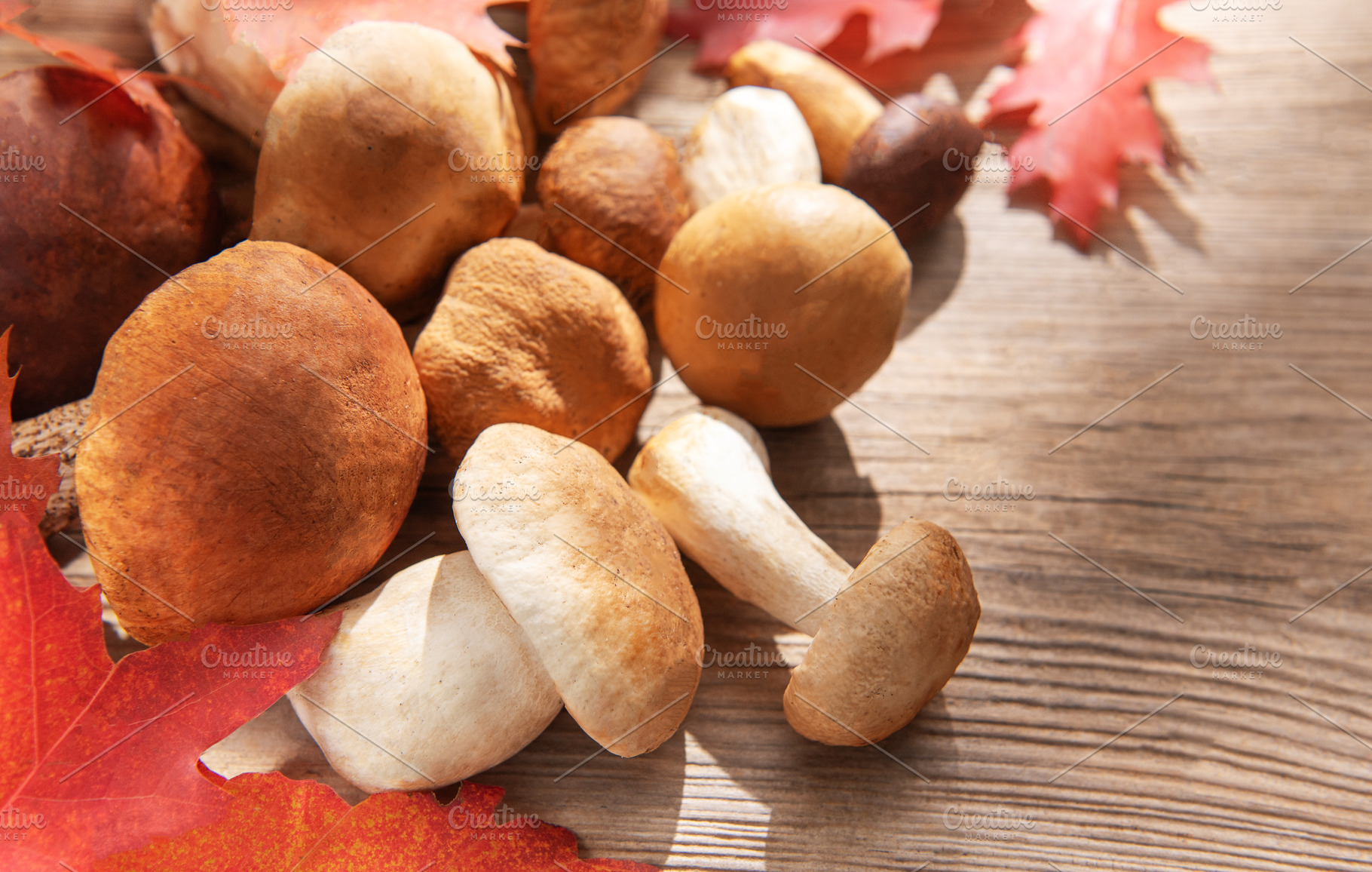 Fresh porcini mushrooms and autumn leaves on wooden background, a Food & Drink Photo by Olena Rudo
