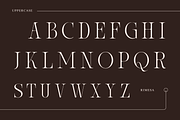 Eqicb - Branding Logo Font, a Serif Font by Nirmana Visual (Thumbnail 2 of 10)