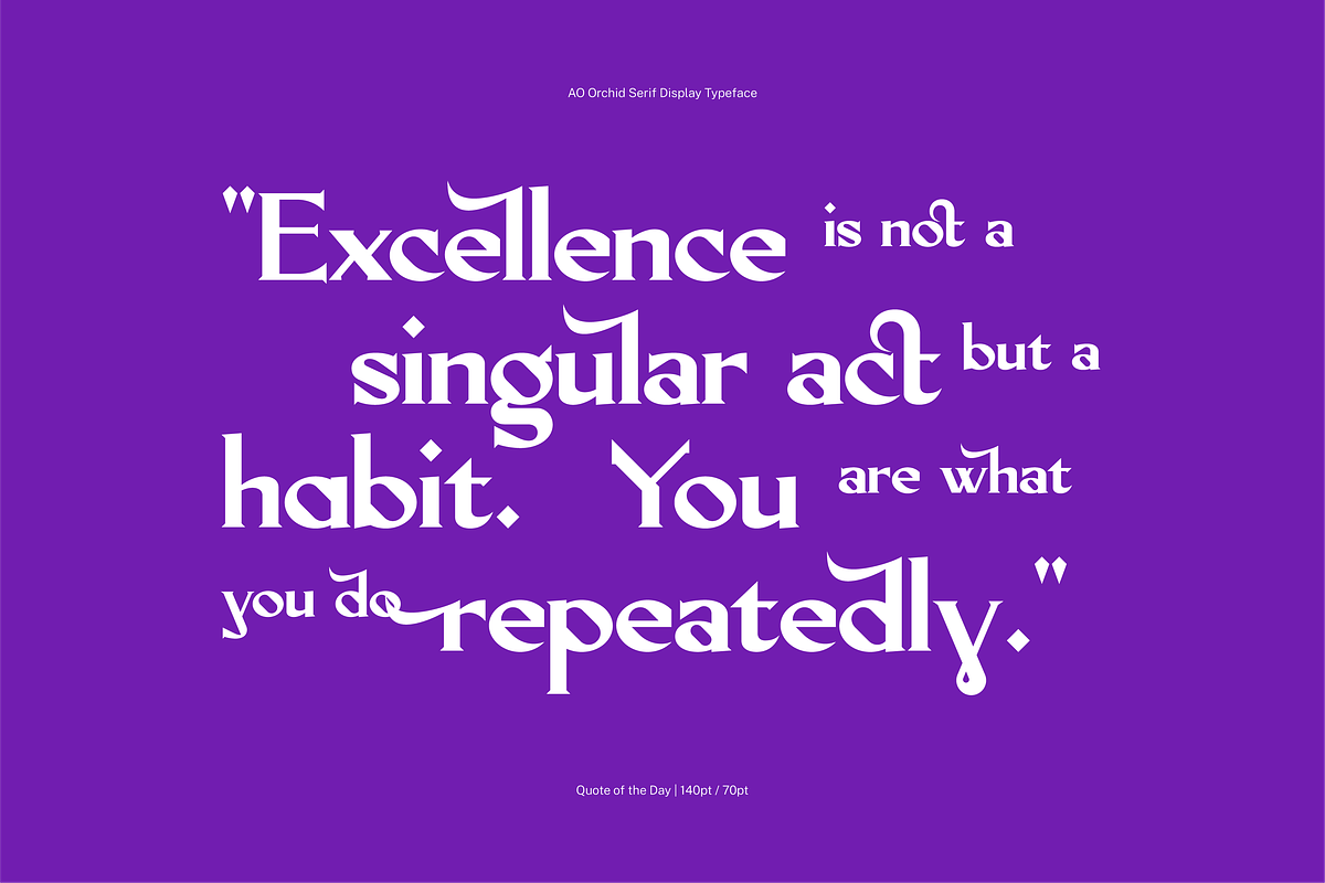 AO Orchid - Decorative Typeface, a Serif Font by OwunStudio (Photo 12 of 15)
