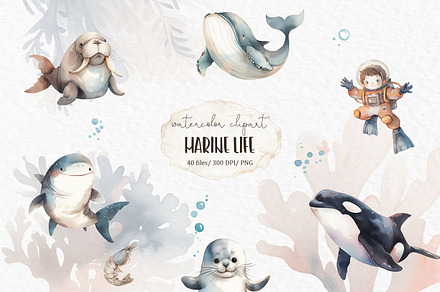 Marine life watercolor clipart PNG, an Animal Illustration by MyLittleMeow