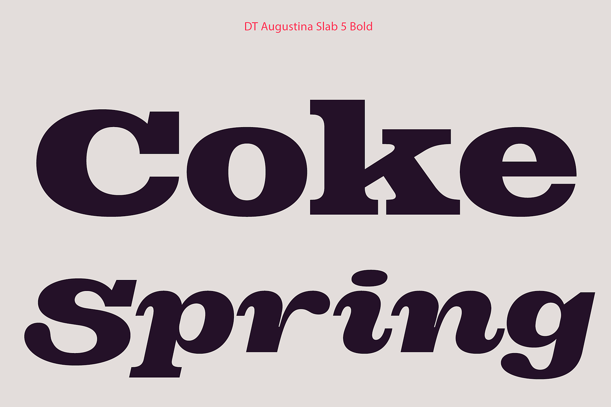 DT Augustina Slab 5 Subfamily, a Slab Serif Font by Deveze Type Foundry (Photo 13 of 31)