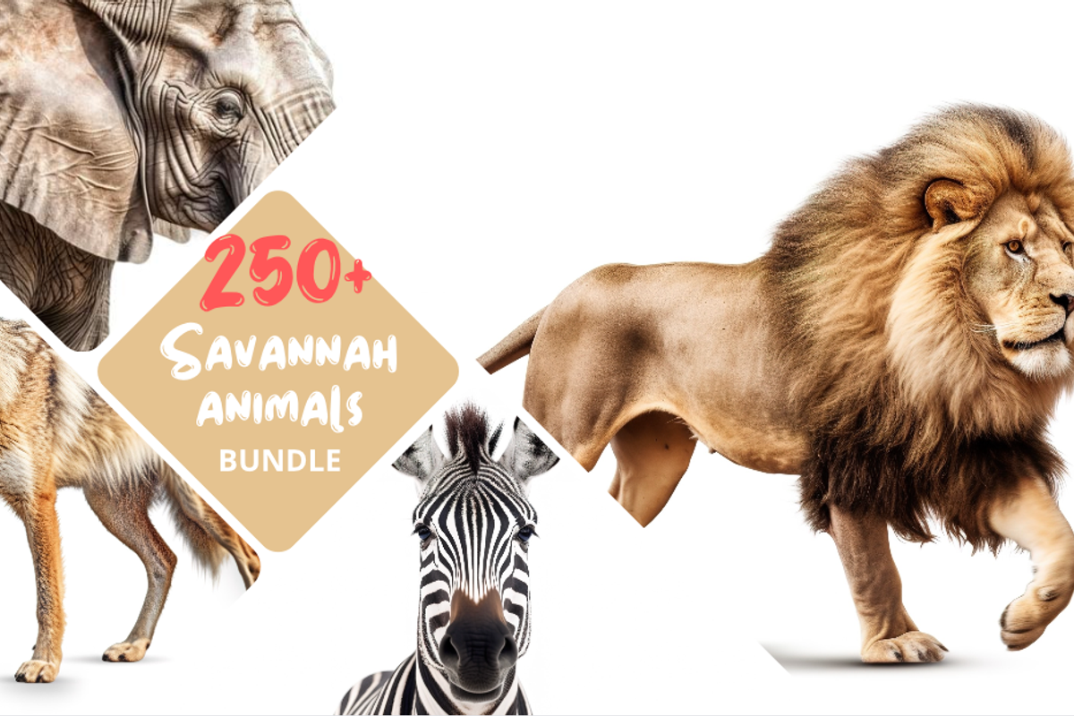 250+ Savannah Animals Photo Bundle, an Animal Photo by Virgo Studio (Photo 1 of 6)