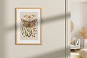 Insects | Vintage posters, a Graphic by katieromanoff_art (Thumbnail 4 of 12)