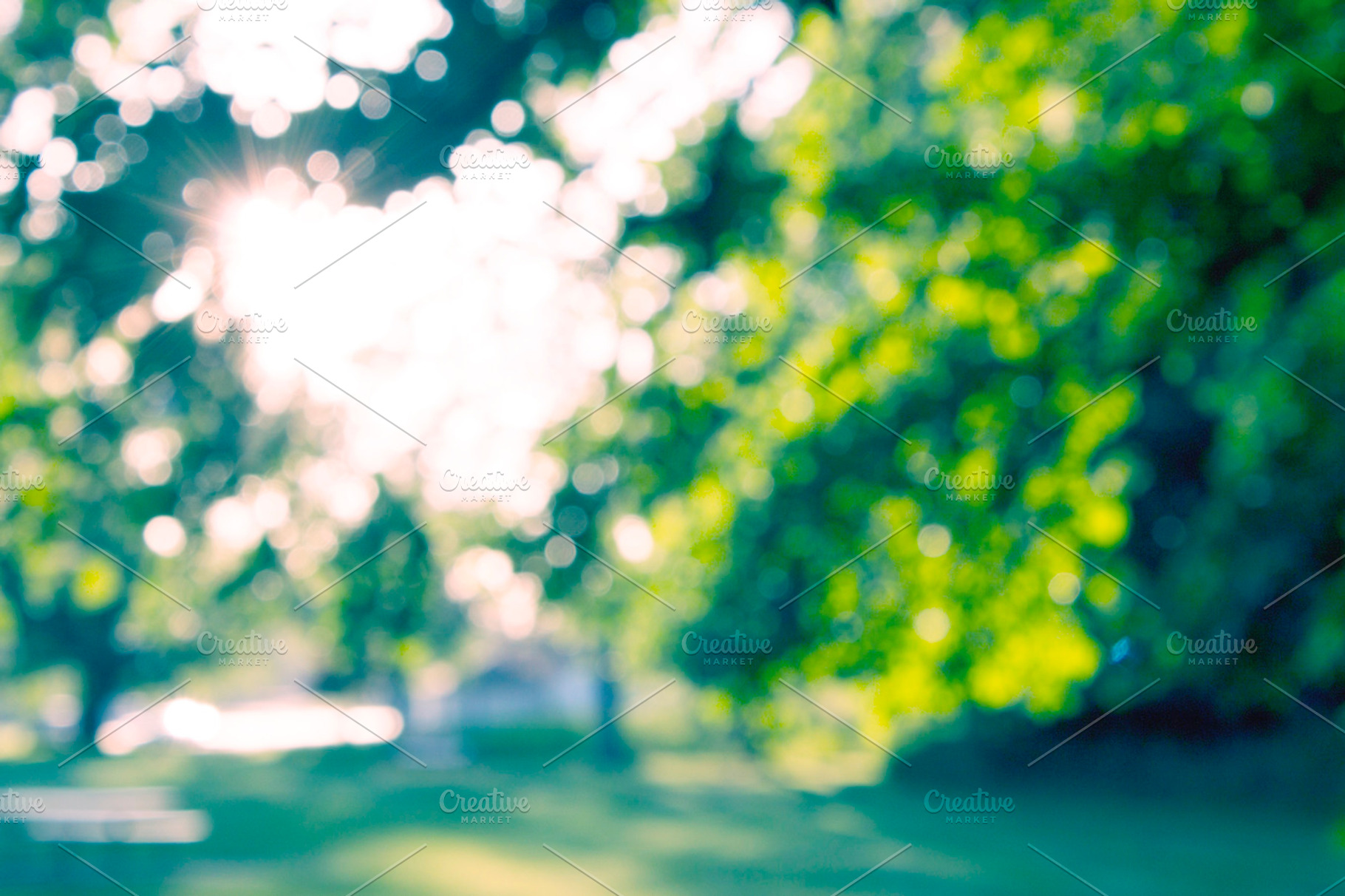 Tree bokeh containing bokeh, blurred, and abstract
